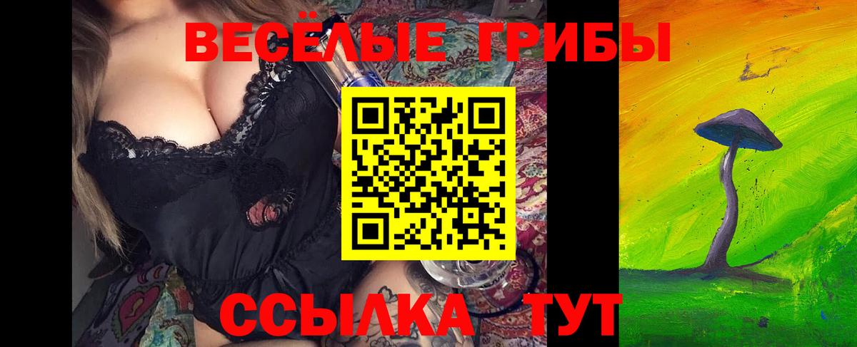 Псилоцибиновые грибы Magic Shrooms  купить  цена  Вход с VPN  Добрянка  Псилоцибиновые грибы прущие грибы 